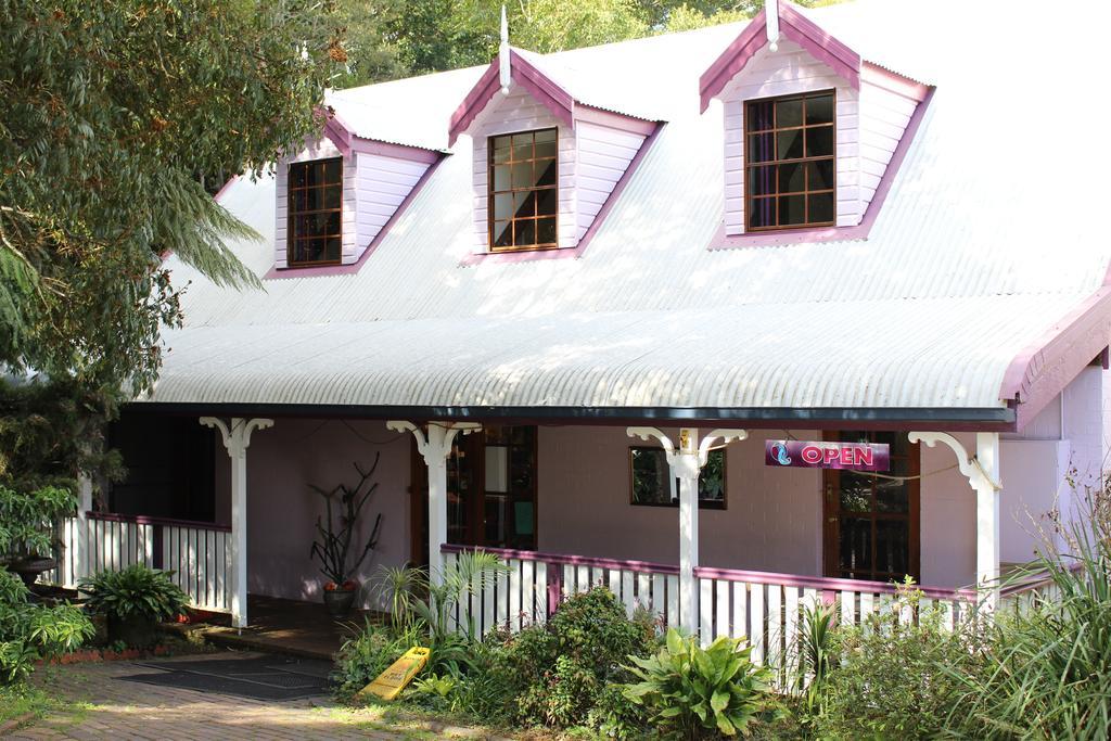 Dancing Waters Cottage สปริงบรูค ภายนอก รูปภาพ